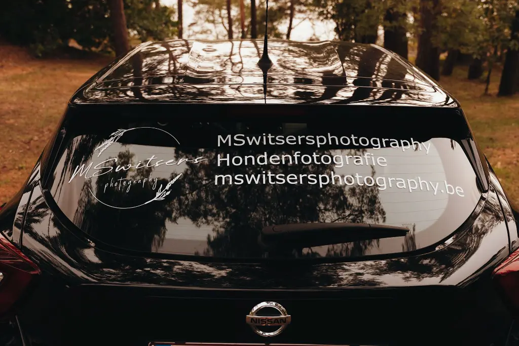 Vehicle lettering – Rear view